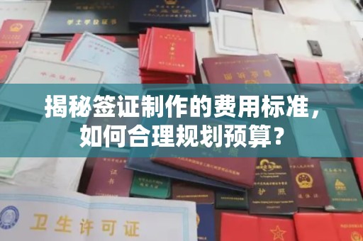 鄞州揭秘签证制作的费用标准，如何合理规划预算？
